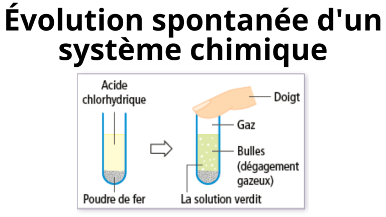 cours particuliers en ligne prof en ligne prof de maths en ligne prof de physique en ligne soutien scolaire à distance